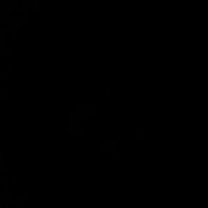 Meet your Posher, Kendall